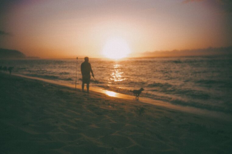 Mensch und Hund gehen bei Sonnenuntergang am Strand