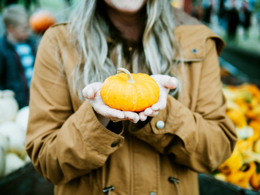 Kürbis als herbstliches Marktmotiv – Symbolbild