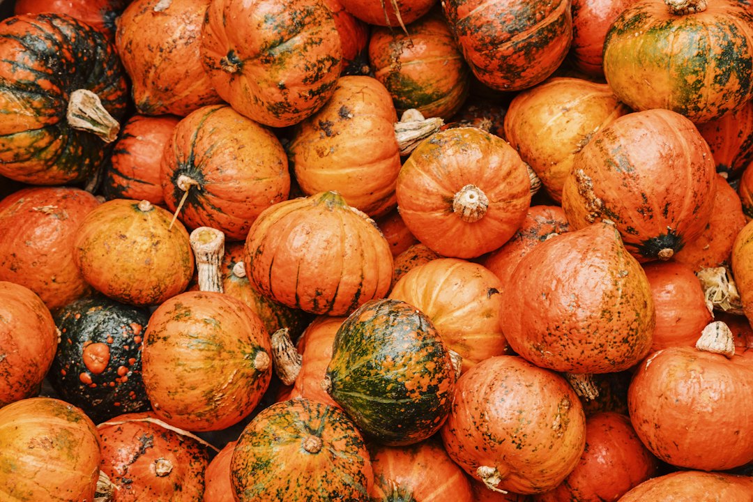 Bunte Kürbisse als Symbolbild für den Herbstmarkt beim Mendener Herbst 2026
