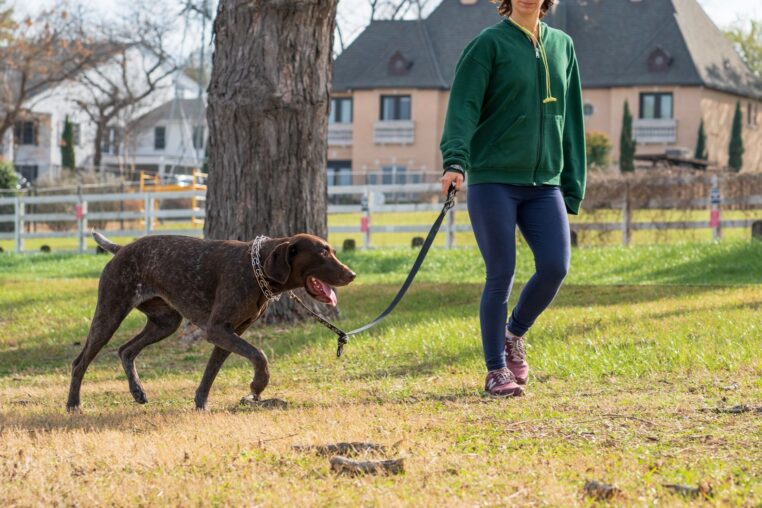 Person geht mit einem Hund an der Leine spazieren