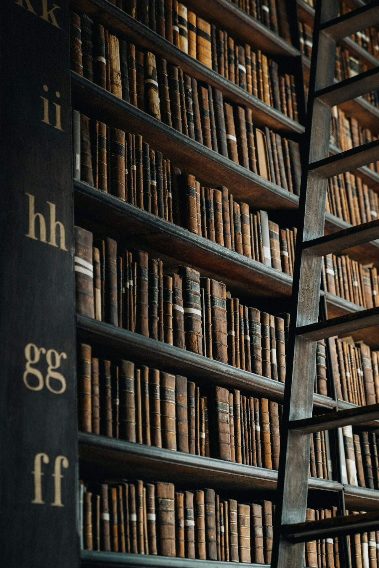 Bücherregal mit zahlreichen Büchern in einer Bibliothek