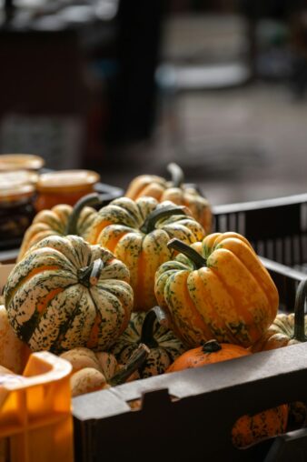 Kürbisse und Zierkürbisse auf einem Herbstmarkt als Symbolbild für das Erntedankfest Urdenbach
